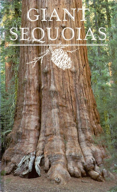 Giant Sequoias - R.J. Hartesveldt [Softcover]