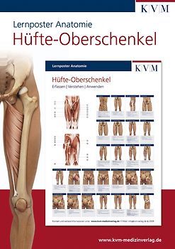 Lernposter Anatomie-Muskulatur