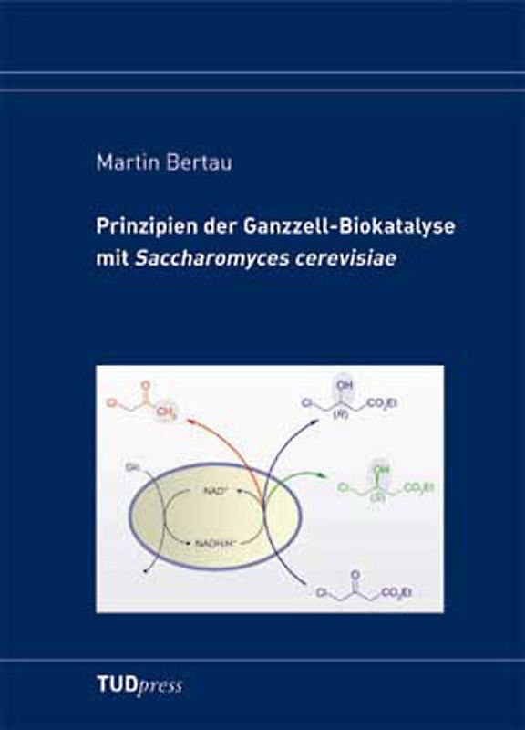 Prinzipien der Ganzzell-Biokatalyse mit Saccharomyces cerevisiae