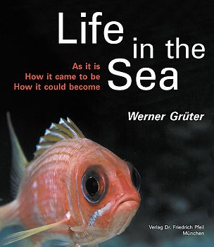 Life in the Sea