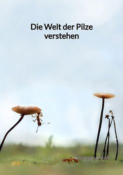 Die Welt der Pilze verstehen