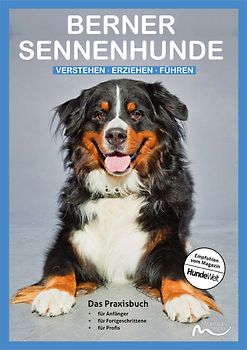 Berner Sennenhunde