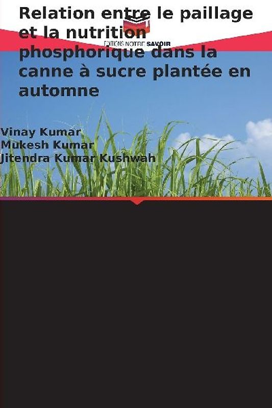 Relation entre le paillage et la nutrition phosphorique dans la canne à sucre plantée en automne
