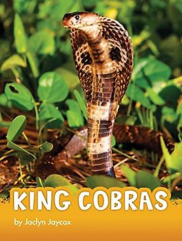 King Cobras