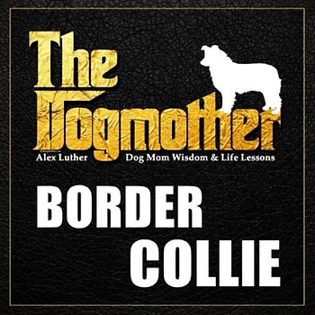 The Dogmother: Border Collie: (Dog Mom Wisdom & Life Lessons)