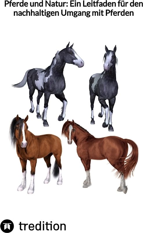 Pferde und Natur: Ein Leitfaden für den nachhaltigen Umgang mit Pferden