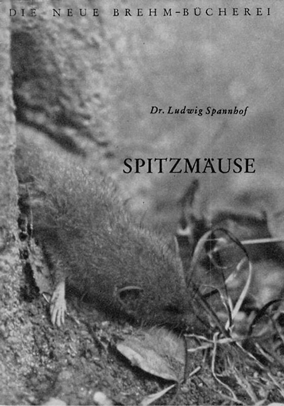 Spitzmäuse
