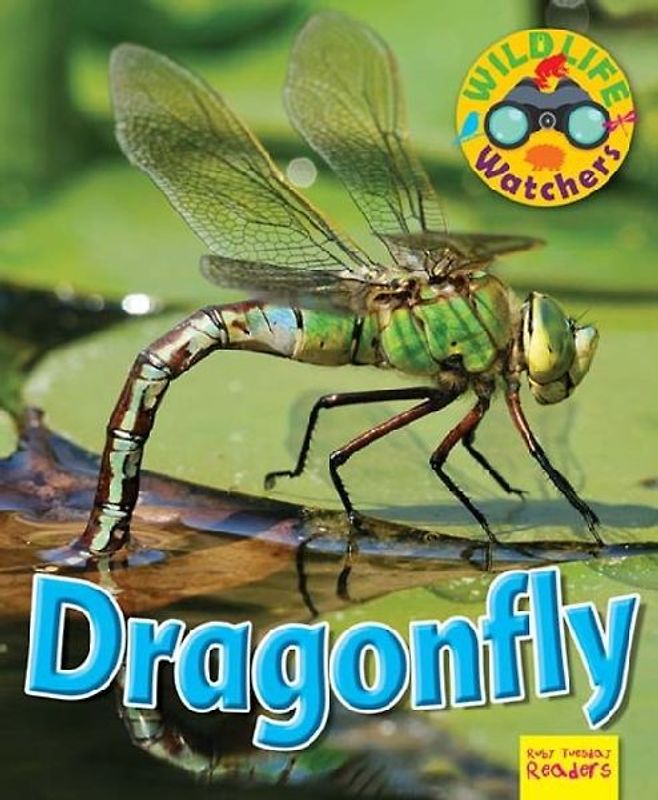 Wildlife Watchers: Dragonfly