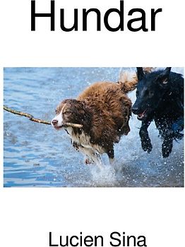 Hundar