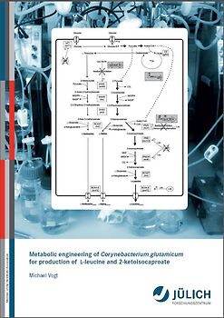 Metabolic engineering of Corynebacterium glutamicum for production of L-leucine and 2-ketoisocaproate