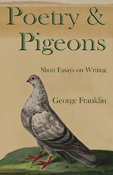 Poetry & Pigeons