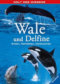 Wale und Delfine
