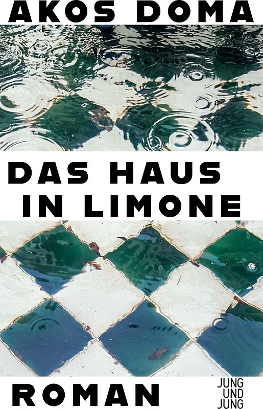 Das Haus in Limone