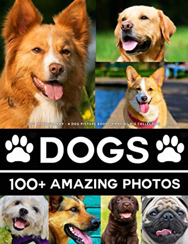 Dog Photography - A Dogs Picture Book - Amazing Big Collection: 100+ Amazing Pictures of Dogs in this Beautiful Photo Book