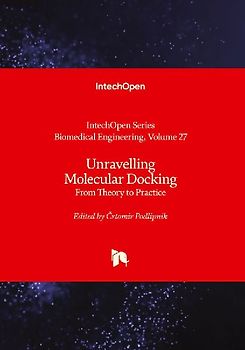 Unravelling Molecular Docking - From Theory to Practice