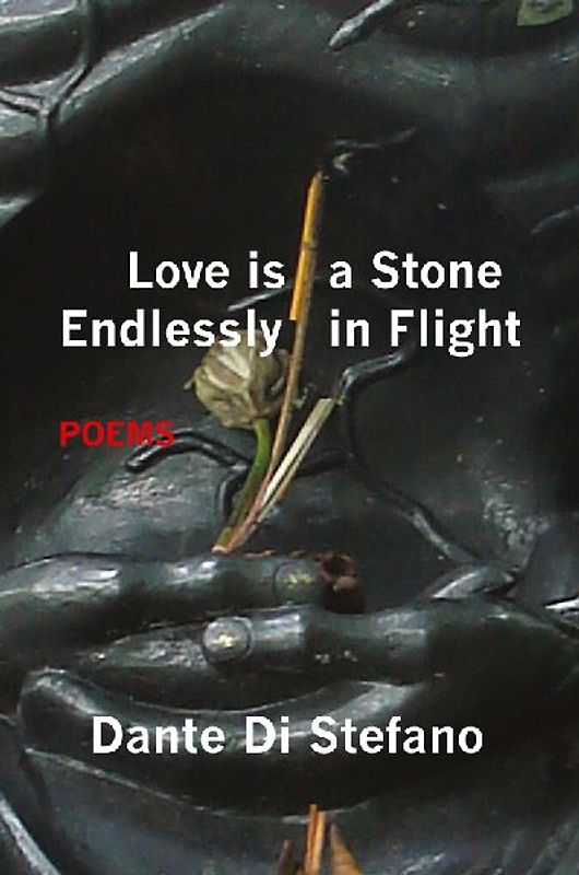 Love Is a Stone Endlessly in Flight