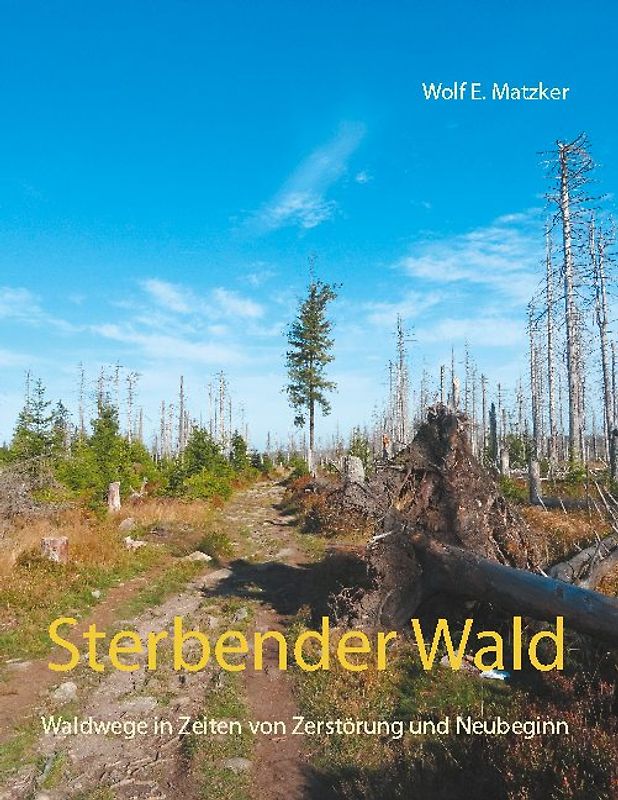 Sterbender Wald