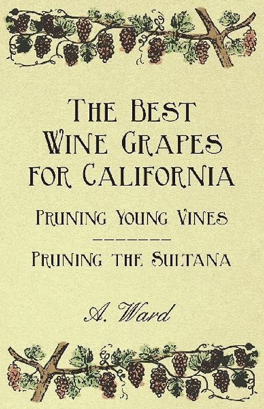 The Best Wine Grapes for California - Pruning Young Vines - Pruning the Sultana