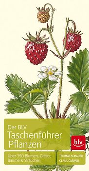 Der BLV Taschenführer Pflanzen