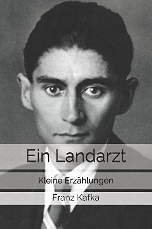 Ein Landarzt: Kleine Erzählungen