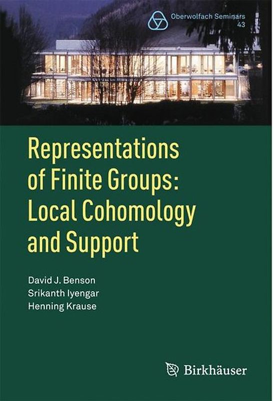 Representations of Finite Groups: Local Cohomology and Support