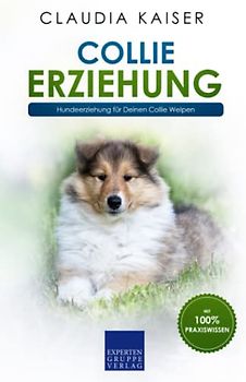 Collie Erziehung: Hundeerziehung für Deinen Collie Welpen