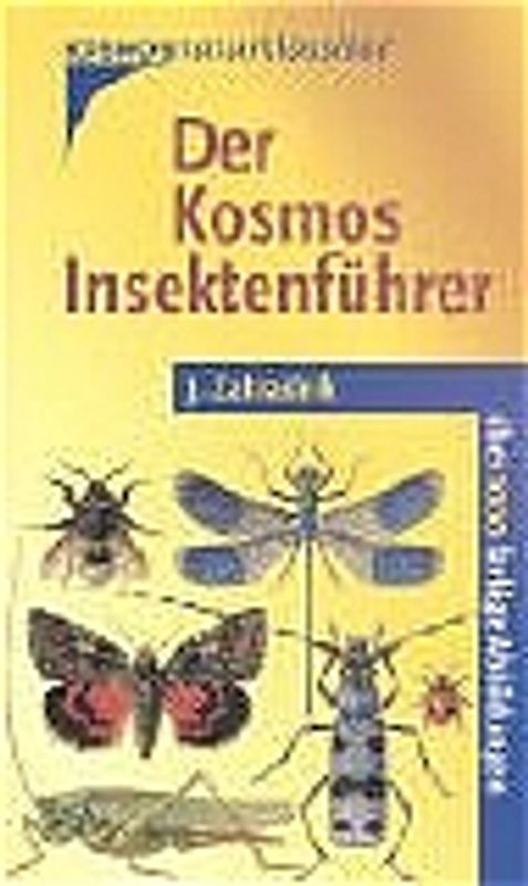 Der Kosmos Insektenführer