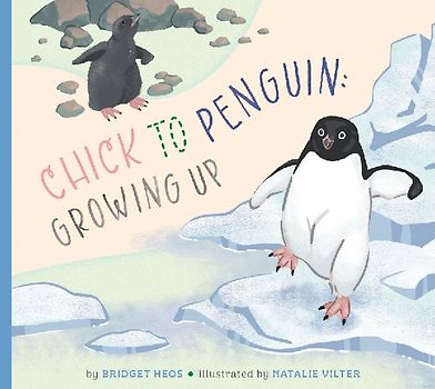 Chick to Penguin: Growing Up