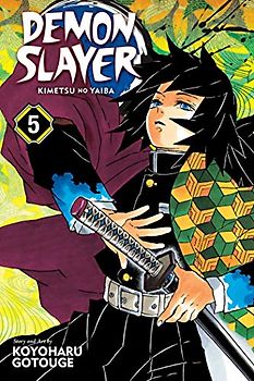 Demon Slayer: Kimetsu no Yaiba, Vol. 5: To Hell