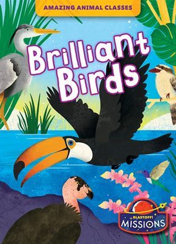 Brilliant Birds