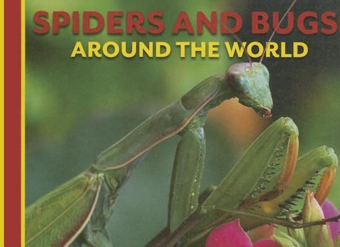 Spiders and Bugs Around the World
