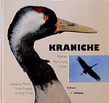 Kraniche