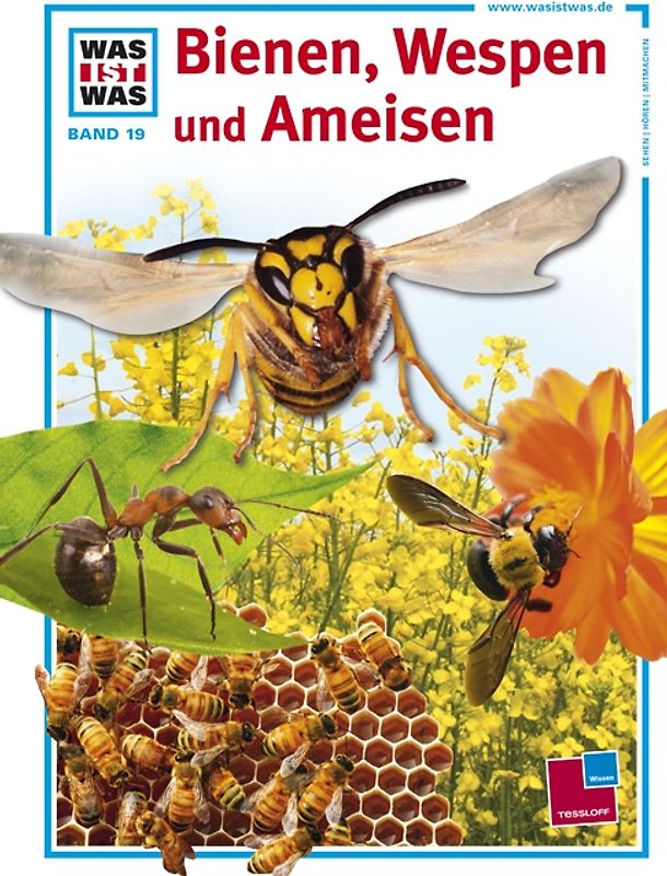 Was ist was, Band 019: Bienen, Wespen und Ameisen