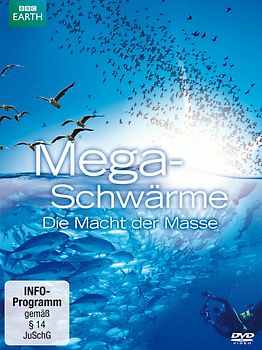 Megaschwärme - Die Macht der Masse DVD