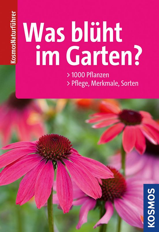 Was blüht im Garten?