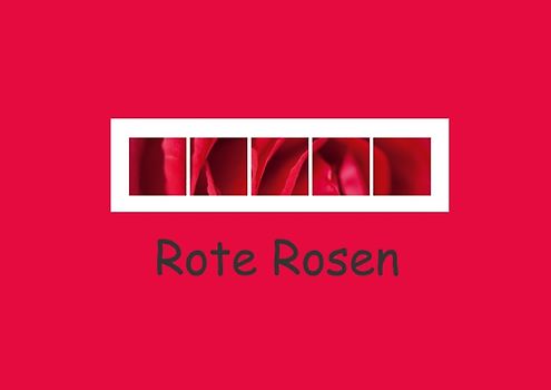 Rote Rosen 2014 (Posterbuch DIN A3 quer)