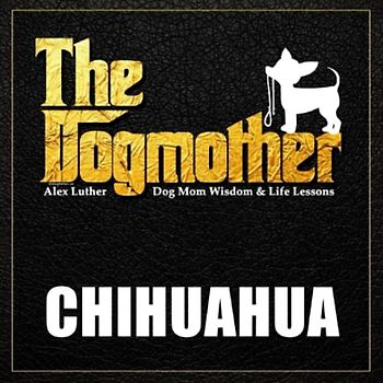The Dogmother: Chihuahua: (Dog Mom Wisdom & Life Lessons)