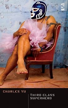 Third Class Superhero (Salt Modern Fiction)