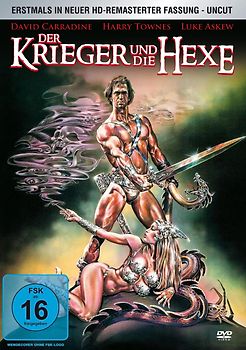 Der Krieger und die Hexe DVD