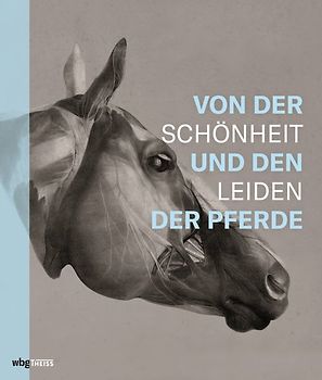 Von der Schönheit und den Leiden der Pferde