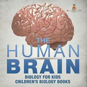 The Human Brain - Biology for Kids | Children's Biology Books