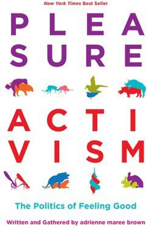 Pleasure Activism