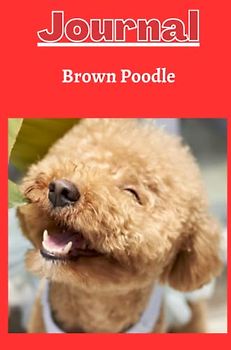 Brown poodle dog journal with a bright red background: null
