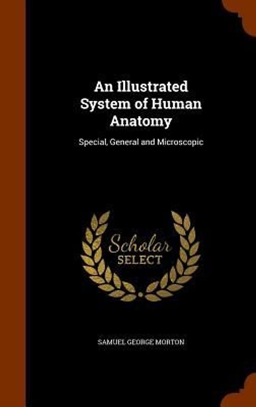 An Illustrated System of Human Anatomy
