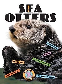 Sea Otters