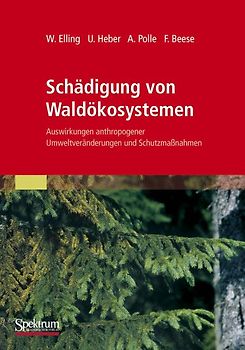 Schädigung von Waldökosystemen