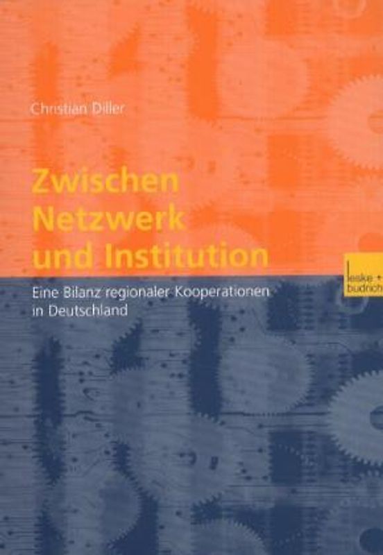 Zwischen Netzwerk und Institution