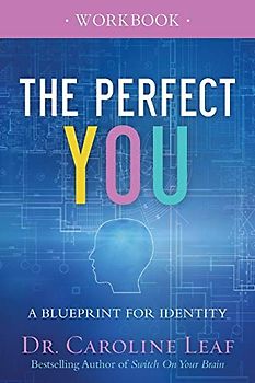 The Perfect You Workbook