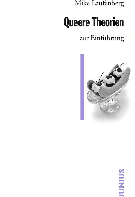 Queere Theorien zur Einführung