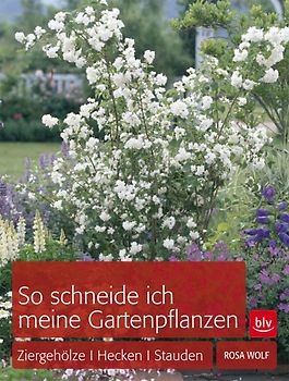 So schneide ich meine Gartenpflanzen